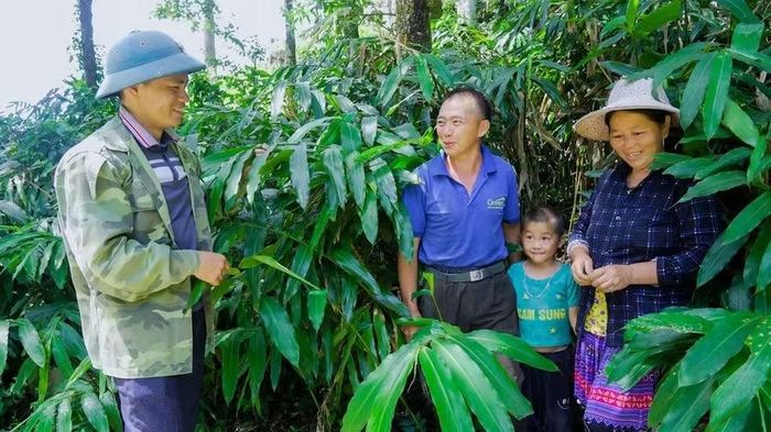 Người dân được hướng tới phát triển sinh kế bền vững.