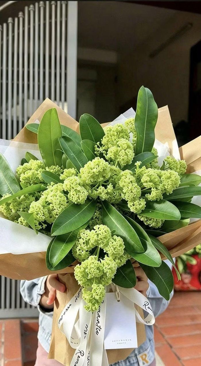 Chị Thu Hương bận rộn bó hoa sữa sau khi video đăng tải trên mạng xã hội đã thu hút nhiều khách hàng hỏi mua. Ảnh: Nhân vật cung cấp