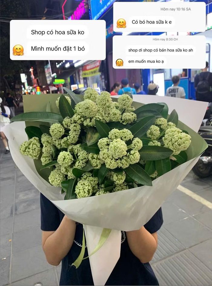 Không phải ai mua hoa sữa cũng để tặng người khác. Một số khách muốn tự thưởng cho mình, chụp ảnh hoặc lưu giữ kỷ niệm về Hà Nội. Có người từ xa đến mua hoa rồi nhờ bọc kín để mang về làm quà. Ảnh: Nhân vật cung cấp