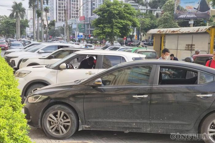 8 xe ô tô thuộc nhiều hãng khác nhau bị đập vỡ kính khi đỗ trước chung cư ở Nghệ An. Ảnh: Kim Long