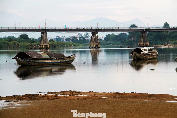 Sông Trà là nơi sinh sống của một số loài cá, nhuyễn thể hai mảnh, trong đó có cá bống và don. Đây cũng là hai loại đặc sản của Quảng Ngãi. Mùa nước cạn, người dân thường chèo thuyền đi đánh bắt cá và cào don.