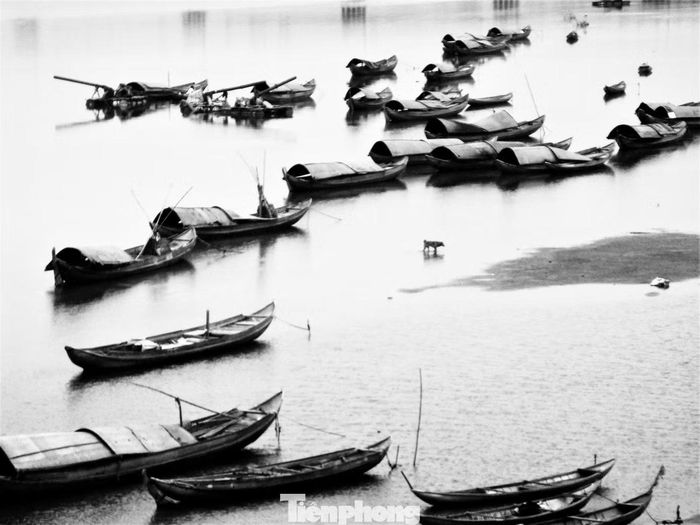 Khu vực chân cầu Trà Khúc 1 thường có nhiều thuyền tập trung để chài lưới, đánh bắt đặc sản dưới sông.