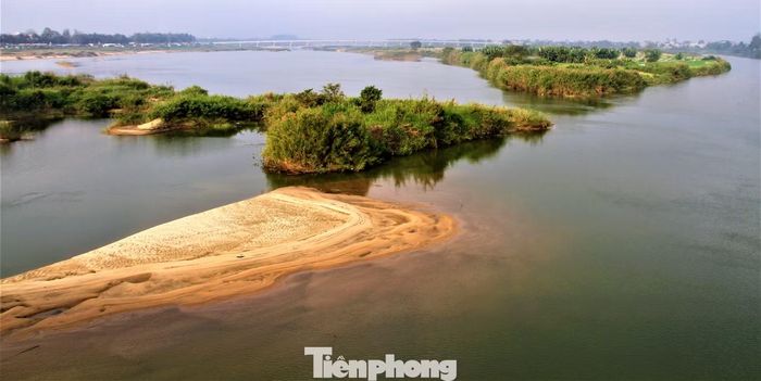 Cồn bãi, lau sậy trên sông Trà, nhìn từ cầu Trà Khúc 1. Xa xa phía thượng nguồn là cầu Thạch Bích.