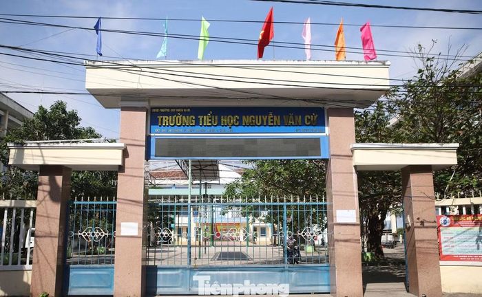 Sau sắp xếp, Hiệu trưởng Trường Tiểu học Nguyễn Văn Cừ được bố trí làm giáo viên.