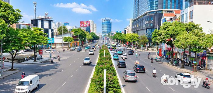 Theo Quyết định 143 mới về quản lý công viên, cây xanh và mặt nước, hoa sữa không nằm trong danh mục 18 loài cây cấm trồng tại Hà Nội. Đây là bước đi chiến lược nhằm hoàn thiện hệ thống hạ tầng xanh, tối ưu hóa quản lý cây xanh đô thị và cây bóng mát, đồng thời chú trọng an toàn đô thị và bảo tồn cây xanh mang bản sắc văn hóa thủ đô.