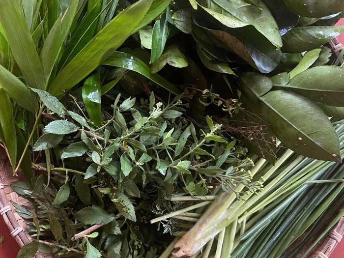 Nhiều người bị cúm xông lá mong mau khỏi bệnh. Ảnh: Hoa Linh.