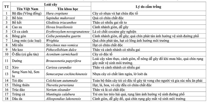 18 loại cây Hà Nội cấm trồng ở nơi công cộng