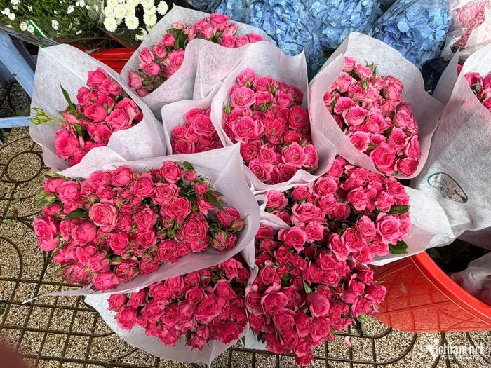 Hoa hồng chùm nhập khẩu đang được người tiêu dùng lựa chọn nhiều trong dịp 20/10 năm nay. Ảnh: Thu Hà