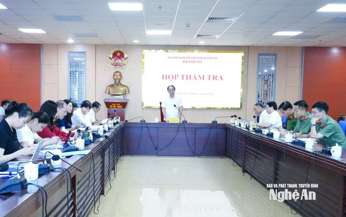 Quang cảnh cuộc họp thẩm tra. Ảnh: Mai Hoa