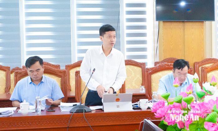 Ủy viên chuyên trách Ban Kinh tế - Ngân sách HĐND tỉnh Nguyễn Kỳ Thanh nêu ý kiến tại cuộc họp. Ảnh: Mai Hoa