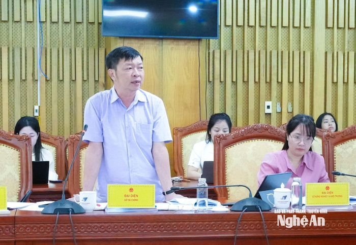 Phó Giám đốc Sở Tài chính Hồ Việt Dũng nêu ý kiến về điều chỉnh kế hoạch đầu tư công. Ảnh: Mai Hoa