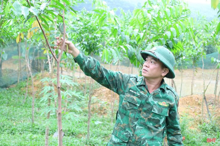 Thiếu tá Đoàn Văn Tiệp - Tổ trưởng Tổ công tác Rào Tre, Đồn Biên phòng Bản Giàng thường xuyên có mặt ở các vườn dó trầm, hướng dẫn người dân trong chăm sóc, phòng trừ sâu bệnh.