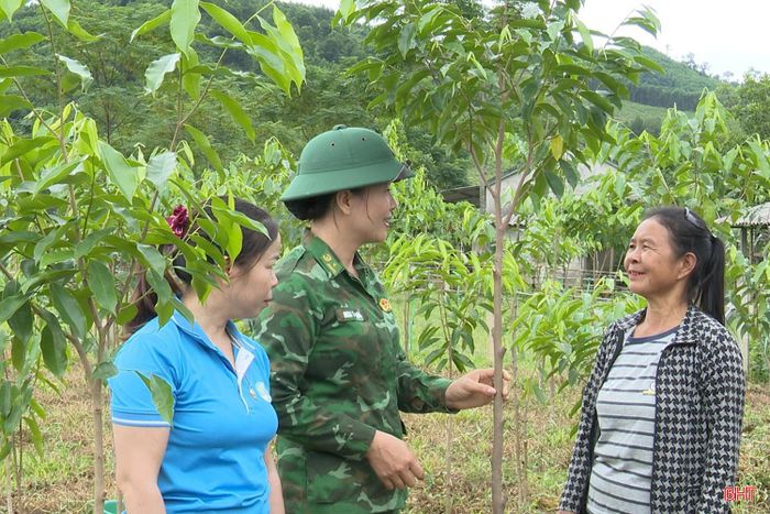 Bà Nam (bên phải) vui mừng khi vườn dó trầm xanh tốt.