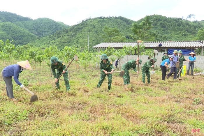 Đến nay, tại bản Rào Tre đã có 14 hộ đồng bào dân tộc Chứt trồng hơn 12 ngàn cây dó trầm.