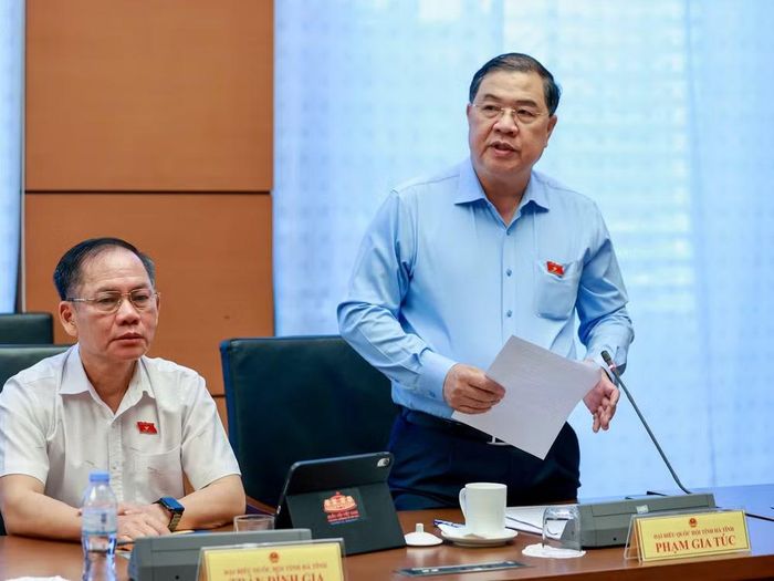 Phó Thủ tướng Thường trực Phạm Gia Túc phát biểu tại phiên thảo luận.