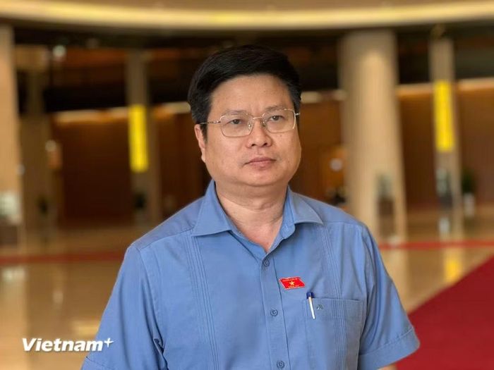 Phó giáo sư Trương Hồ Hải, đại biểu Quốc hội tỉnh An Giang. (Ảnh: Thùy Giang/Vietnam+)