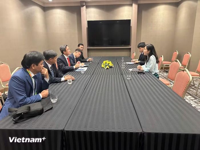 Tổng Lãnh sự Việt Nam tại Fukuoka Trịnh Thị Mai Phương làm việc với Đoàn công tác của thành phố Đà Nẵng. (Ảnh: PV/Vietnam+)