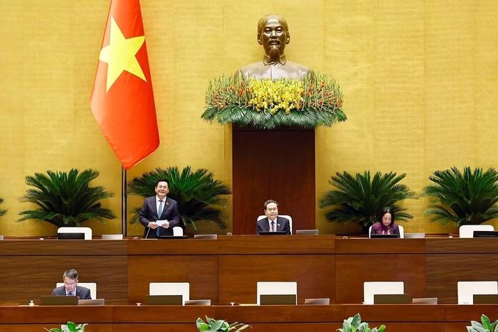 Phó Chủ tịch Quốc hội Nguyễn Hồng Diên phát biểu. (Ảnh: Doãn Tấn/TTXVN)