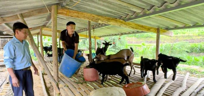 Phát huy tinh thần đảng viên “đi trước”, anh Giàng A Kỷ tỉnh Điện Biên mạnh dạn vay vốn phát triển mô hình kinh tế tổng hợp, nhờ đó vươn lên thoát nghèo. Ảnh: TTXVN phát