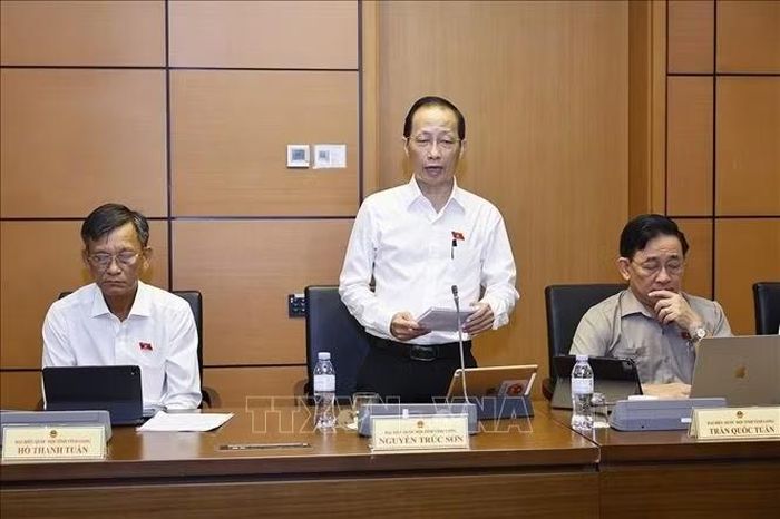 Đại biểu Quốc hội tỉnh Vĩnh Long Nguyễn Trúc Sơn phát biểu. Ảnh: Doãn Tấn/TTXVN