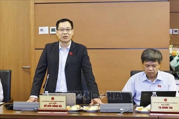 Đại biểu Quốc hội TP Hà Nội Đỗ Đức Hồng Hà phát biểu. Ảnh: Doãn Tấn/TTXVN