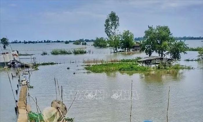 Mực nước lũ tại khu vực nội đồng phường Vĩnh Tế, tỉnh An Giang giảm dần trong những ngày cuối tháng 10/2026, tạo điều kiện để người dân chuẩn bị xuống giống vụ Đông Xuân theo lịch thời vụ.