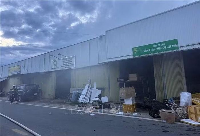 Các dãy Kios, cửa hàng kinh doanh trên mặt đường Võ trường Toản bị đám cháy kho xưởng gỗ phía sau uy hiếp.