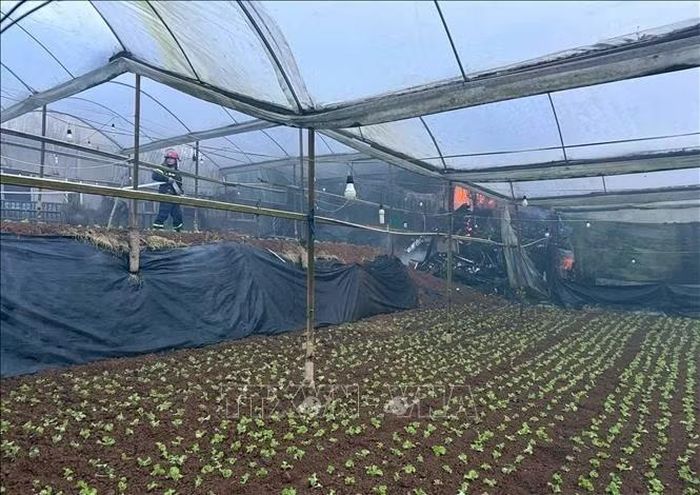 Chiến sỹ cảnh sát PCCC tiếp cận khống chế đám cháy trên đường Võ trường Toản (phường Lâm Viên – Đà Lạt, Lâm Đồng).