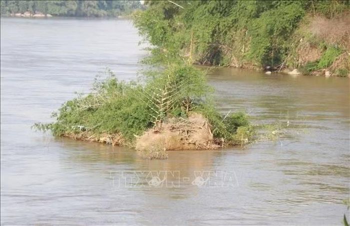 Sạt lở bờ sông Trà Khúc qua thôn An Lạc, xã Trà Giang diễn biến phức tạp cuốn trôi nhiều diện tích cây tre bảo vệ bờ. Ảnh: Phạm Cường/TTXVN