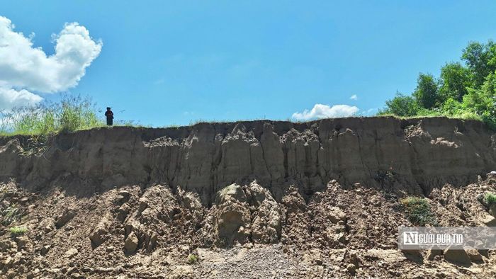 Có những vị trí trước kia còn cách xa mép nước, nay đã trở thành bờ sạt cao thành vách dựng đứng.