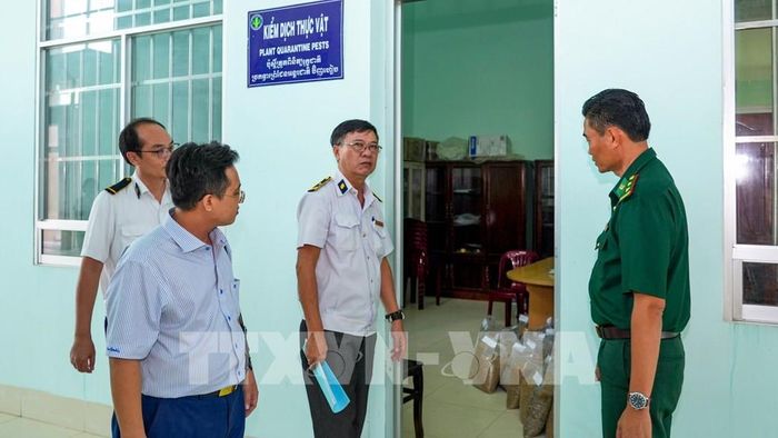 Lực lượng chức năng khảo sát, đánh giá cơ sở hạ tầng phục vụ hoạt động tại Cửa khẩu quốc tế Bình Hiệp. Ảnh: Minh Phú - TTXVN