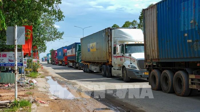 Xe vận chuyển hàng hóa ùn tắc vào giờ cao điểm tại khu vực Cửa khẩu quốc tế Bình Hiệp. Ảnh: Minh Phú - TTXVN