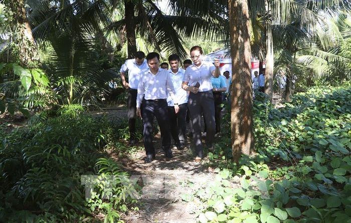 Tỉnh Cà Mau đặt mục tiêu phấn đấu đến năm 2030 sẽ có 100% khóm, ấp trên địa bàn tỉnh có đường bê tông giao thông nông thôn. Ảnh: Tuấn Phi - TTXVN