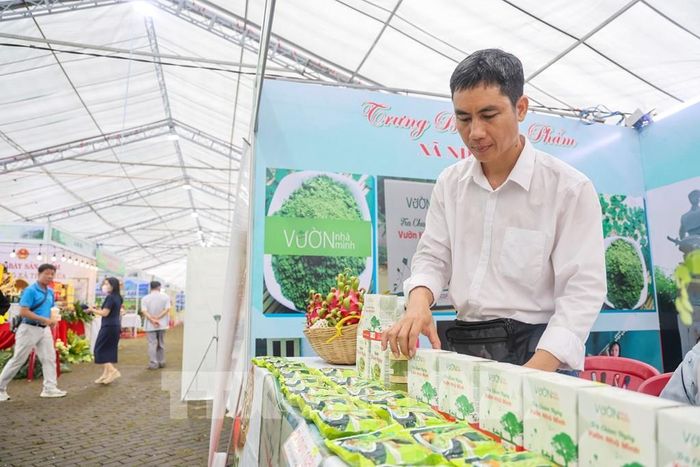 Anh Phạm Ngọc Anh Tuấn, Giám đốc Công ty TNHH Vườn Nhà Minh giới thiệu các sản phẩm được chế biến từ chùm ngây. Ảnh: Giang Phương - TTXVN
