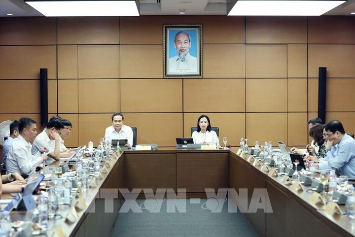 Chủ tịch Quốc hội Trần Thanh Mẫn, đại biểu Quốc hội Thành phố Hồ Chí Minh phát biểu. Ảnh: Doãn Tấn - TTXVN