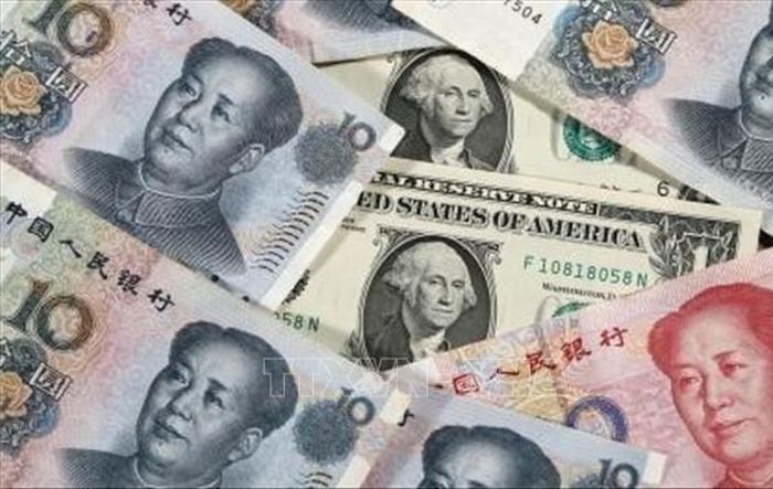 Đồng NDT và đồng USD. Kyodo/TTXVN