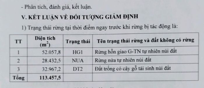 Kết luận giám định số 06/KL-GĐ ngày 12/6/2023.