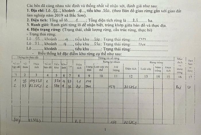 Biên bản xác định hiện trạng đất, rừng năm 2019 tại lô 93 có xác nhận của đại diện Hạt Kiểm lâm huyện Quỳ Hợp cũ.