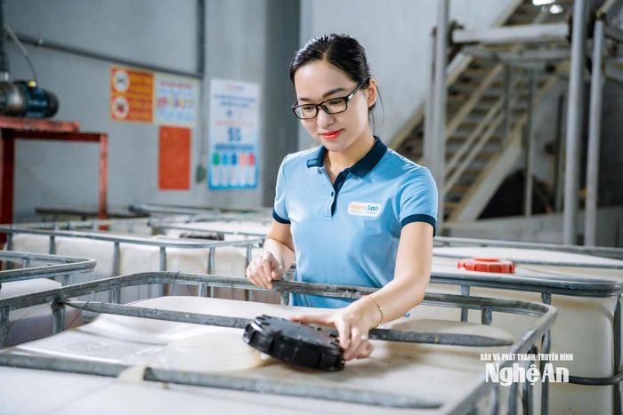 Ứng dụng công nghệ vào sản xuất, chị Trần Thị Hồng Thắm đã góp phần nâng giá trị hạt muối, tăng thu nhập cho diêm dân, tạo động lực phát triển nghề muối bền vững. Ảnh: T.P