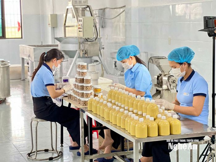 Chị Thắm đã kết hợp giữa gừng, muối thành sản phẩm chăm sóc sức khỏe, tạo thêm giá trị cho nông sản địa phương.