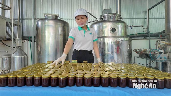 Chị Nguyễn Thị Châu - Giám đốc HTX Dược liệu Nghĩa Đàn, hướng tới mở rộng vùng nguyên liệu, liên kết sản xuất, tạo sinh kế bền vững cho nhiều người dân. Ảnh: T.P