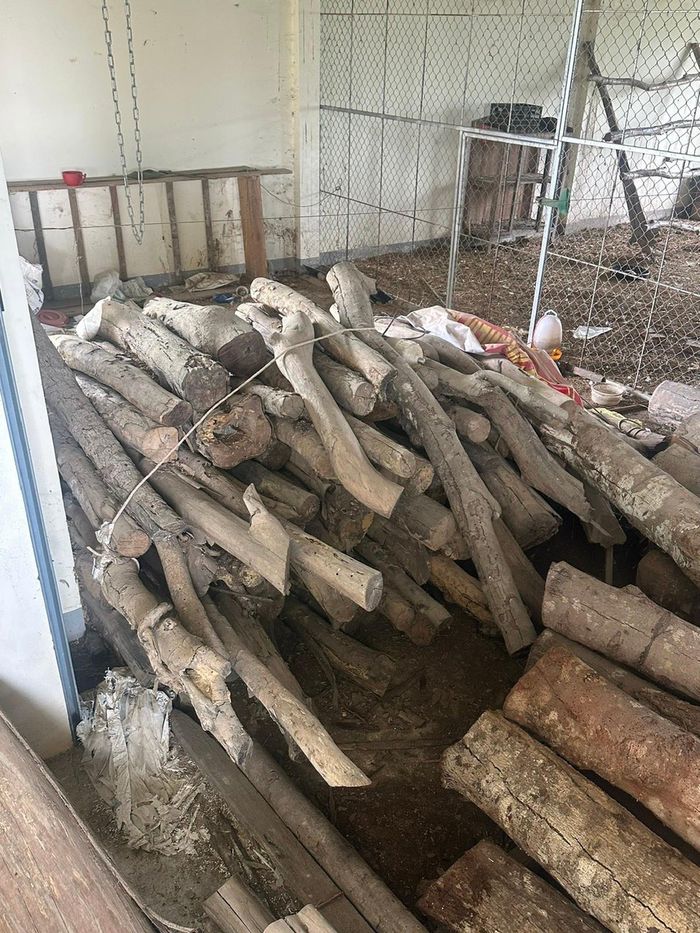 Tang vật thu giữ được trong vụ án trên diện tích hơn 11 ha bị tác động.