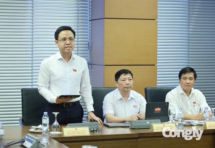 Ông Nguyễn Thế Duy - Phó Chủ tịch HĐQT kiêm Phó Tổng Giám đốc Tập đoàn Becamex phát biểu ý kiến.