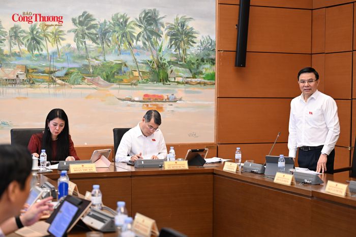Bộ trưởng Bộ Công Thương Lê Mạnh Hùng thảo luận tại Tổ 3.