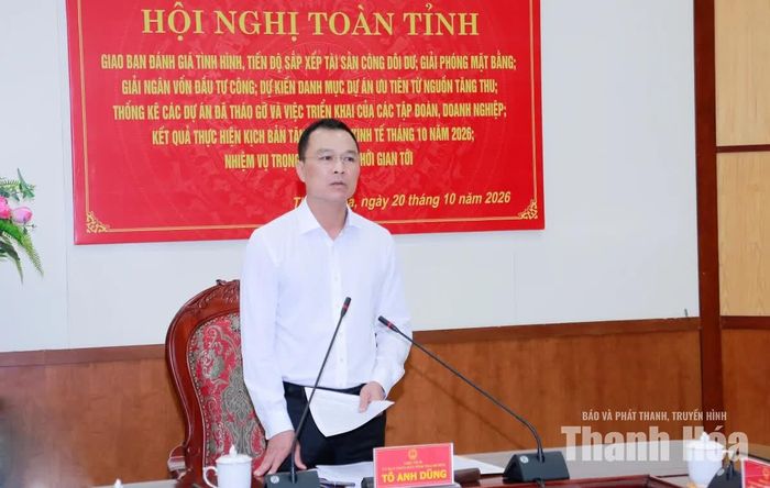 Chủ tịch UBND tỉnh Tô Anh Dũng phát biểu kết luận hội nghị.