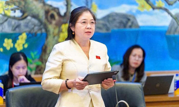  Đại biểu Leo Thị Lịch phát biểu ý kiến. 