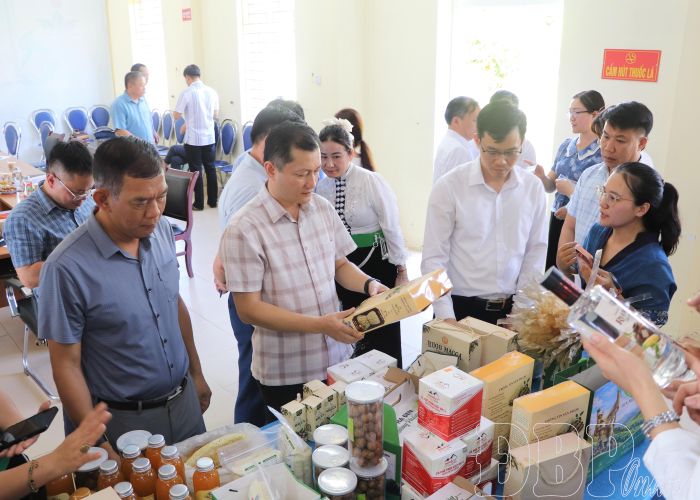 Đại biểu tham quan các sản phẩm đăng ký OCOP.