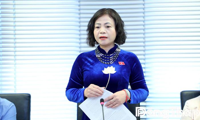 Đại biểu Nguyễn Thanh Cầm phát biểu thảo luận.