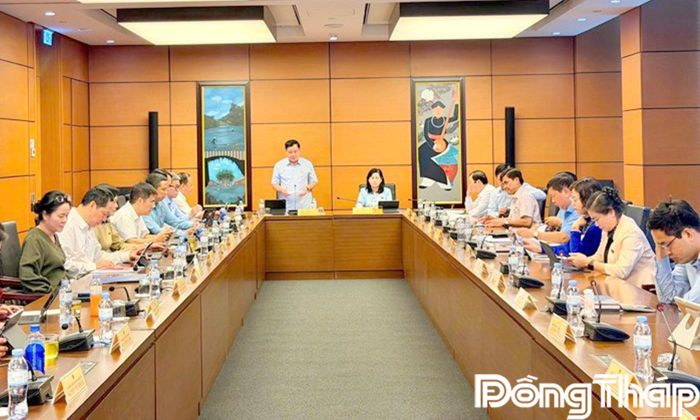 Quang cảnh thảo luận tại Tổ.