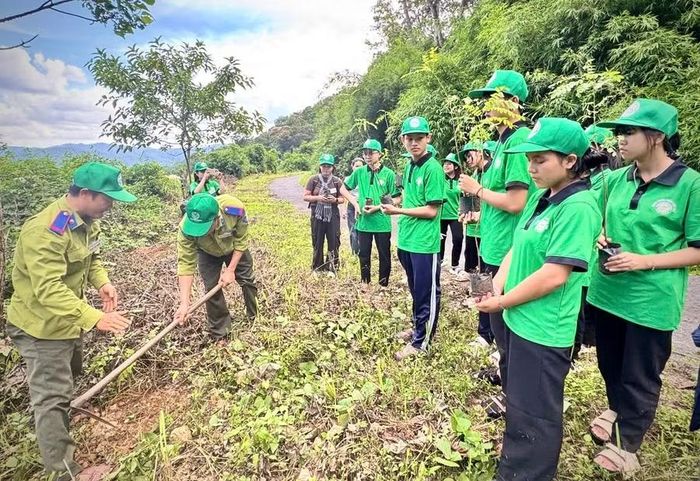Các em học sinh tham gia chương trình giáo dục môi trường và du lịch học đường năm 2026 gắn với các hoạt động bảo vệ môi trường, trồng cây lưu niệm. Ảnh: Lê Vinh
